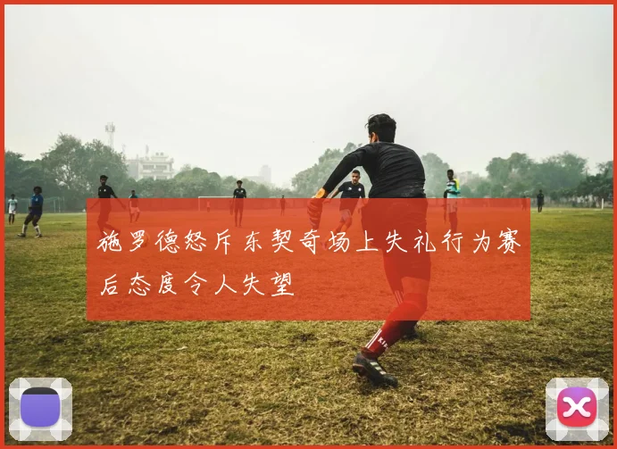 施罗德怒斥东契奇场上失礼行为赛后态度令人失望