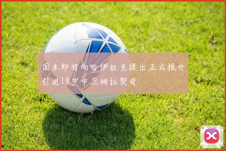 国米即将向哈伊杜克提出正式报价引进18岁中卫姆拉契奇