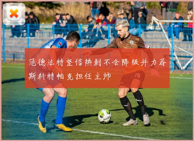 范德法特坚信热刺不会降级并力荐斯科特帕克担任主帅
