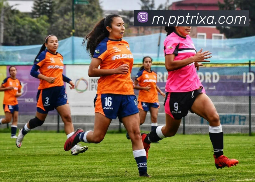 PP体育品牌故事