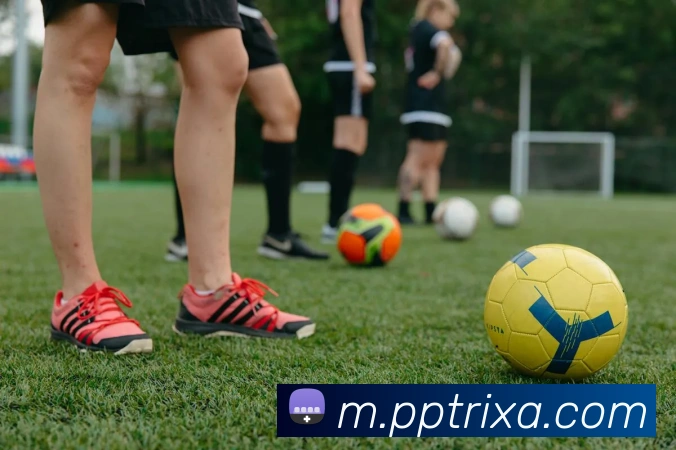 PP体育服务体系